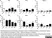 Anti Bovine CD8 Antibody, clone CC63 thumbnail image 10
