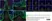 Anti Bovine CD8 Antibody, clone CC63 thumbnail image 11