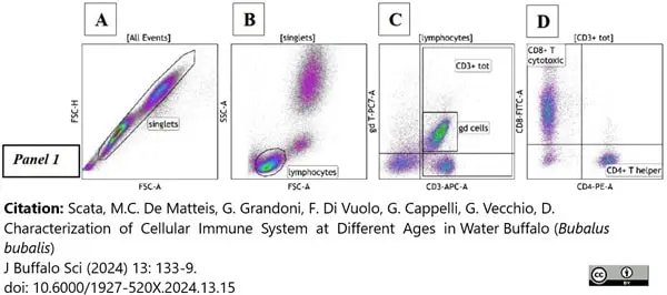 Anti Bovine CD8 Antibody, clone CC63 gallery image 15