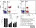 Anti Bovine CD8 Antibody, clone CC63 thumbnail image 4