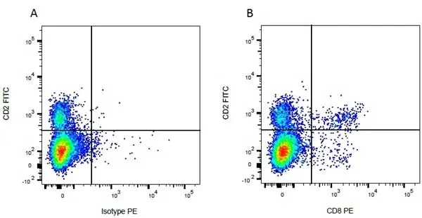 Anti Bovine CD8 Antibody, clone CC63 gallery image 5