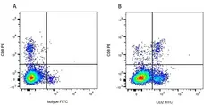 Anti Bovine CD8 Antibody, clone CC63 gallery image 6