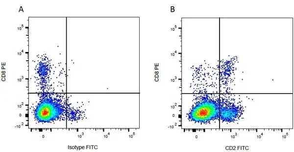 Anti Bovine CD8 Antibody, clone CC63 gallery image 6