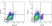 Anti Bovine CD8 Antibody, clone CC63 thumbnail image 7