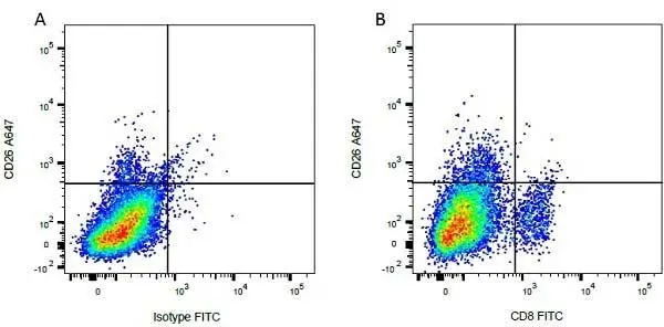 Anti Bovine CD8 Antibody, clone CC63 gallery image 7