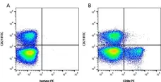 Anti Bovine CD8 Beta Antibody, clone CC58 gallery image 1