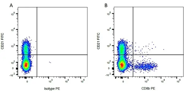 Anti Bovine CD8 Beta Antibody, clone CC58 gallery image 3
