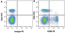 Anti Bovine CD8 Beta Antibody, clone CC58 gallery image 4