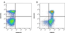 Anti Bovine CD80 Antibody, clone IL-A159 gallery image 1
