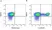 Anti Bovine CD80 Antibody, clone IL-A159 thumbnail image 10