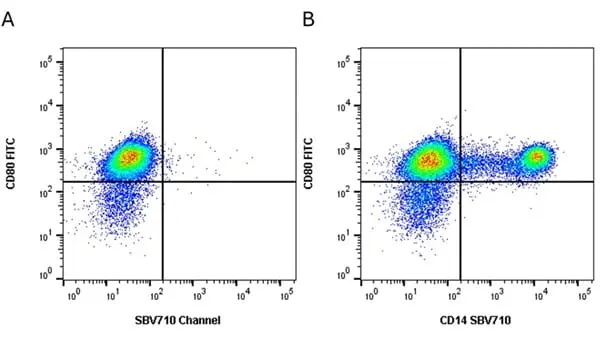 Anti Bovine CD80 Antibody, clone IL-A159 gallery image 11