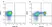Anti Bovine CD80 Antibody, clone IL-A159 thumbnail image 2