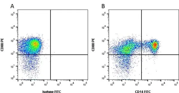 Anti Bovine CD80 Antibody, clone IL-A159 gallery image 2