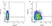 Anti Bovine CD80 Antibody, clone IL-A159 thumbnail image 4
