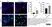 Anti Bovine CD86 Antibody, clone IL-A190 thumbnail image 4