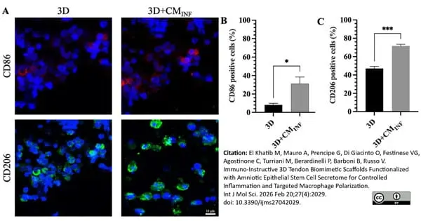 Anti Bovine CD86 Antibody, clone IL-A190 gallery image 4