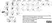 Anti Bovine FOXP3 Antibody, clone AbD07627 thumbnail image 1