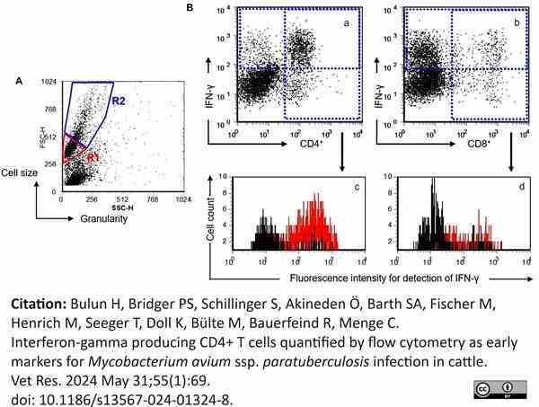 Anti Bovine Interferon Gamma Antibody, clone CC302 gallery image 15