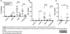 Anti Bovine Interferon Gamma Antibody, clone CC302 gallery image 2