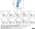 Anti Bovine Interferon Gamma Antibody, clone CC302 thumbnail image 4
