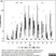Anti Bovine Interferon Gamma Antibody, clone CC302 thumbnail image 5