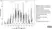 Anti Bovine Interferon Gamma Antibody, clone CC302 thumbnail image 5