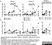 Anti Bovine Interferon Gamma Antibody, clone CC302 thumbnail image 8