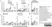 Anti Bovine Interferon Gamma Antibody, clone CC302 thumbnail image 8