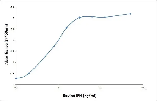 Anti Bovine Interferon Gamma Antibody, clone CC330 gallery image 7