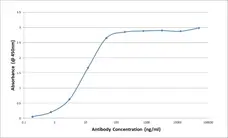 Anti Bovine/Ovine IgG/A/M Antibody, clone K67 3G2 gallery image 2