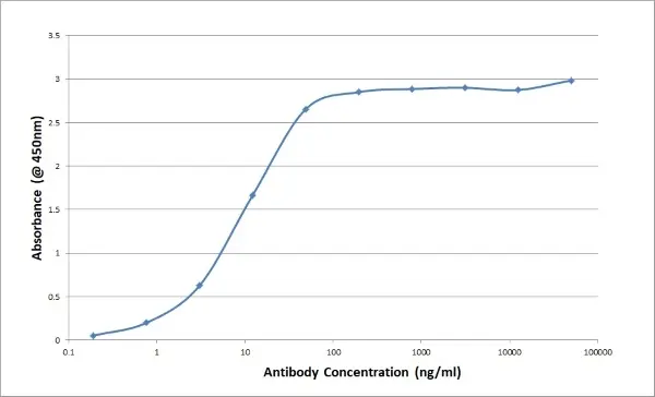 Anti Bovine/Ovine IgG/A/M Antibody, clone K67 3G2 gallery image 2