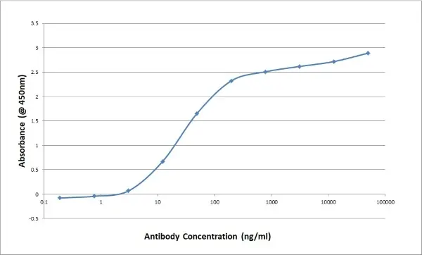 Anti Bovine/Ovine IgG/A/M Antibody, clone K67 3G2 gallery image 3