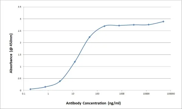 Anti Bovine/Ovine IgG/A/M Antibody, clone K67 3G2 gallery image 4
