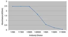 Anti Bovine IgG1 Antibody, clone IL-A60 gallery image 1