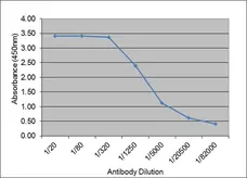Anti Bovine IgM Antibody, clone IL-A30 gallery image 2