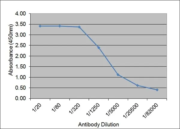 Anti Bovine IgM Antibody, clone IL-A30 gallery image 2
