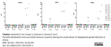 Anti Bovine Interleukin-12/23 Antibody, clone CC301 gallery image 1