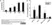 Anti Bovine Interleukin-12/23 Antibody, clone CC301 thumbnail image 5