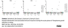 Anti Bovine Interleukin-12/23 Antibody, clone CC326 gallery image 1