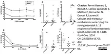 Anti Bovine Interleukin-12/23 Antibody, clone CC326 gallery image 4