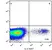 Anti Bovine Interleukin-2 Antibody, clone AbD21766 thumbnail image 2
