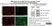 Anti MBP (aa82-87) Antibody, clone 12 thumbnail image 10