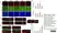Anti MBP (aa82-87) Antibody, clone 12 thumbnail image 15