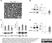 Anti MBP (aa82-87) Antibody, clone 12 thumbnail image 16