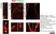 Anti MBP (aa82-87) Antibody, clone 12 thumbnail image 18
