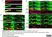 Anti MBP (aa82-87) Antibody, clone 12 thumbnail image 19