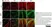 Anti MBP (aa82-87) Antibody, clone 12 thumbnail image 34
