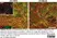 Anti MBP (aa82-87) Antibody, clone 12 thumbnail image 48
