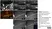 Anti MBP (aa82-87) Antibody, clone 12 thumbnail image 5