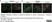 Anti MBP (aa82-87) Antibody, clone 12 thumbnail image 54